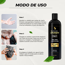 Cargar imagen en el visor de la galería, Black Hair Shampoo 3 en 1
